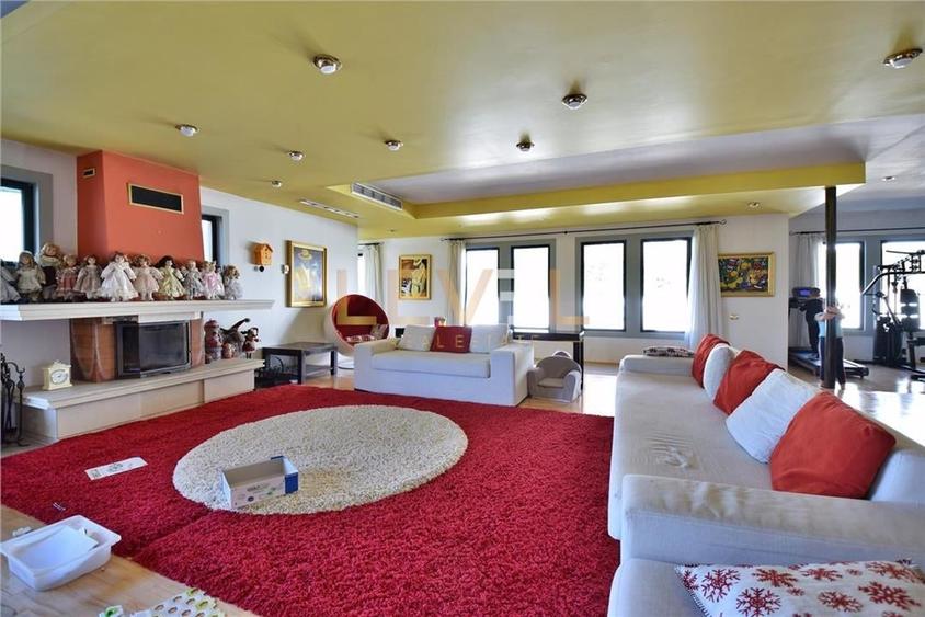 [VIDEO] VILA CU PONTON SI TEREN 11.000MP LAC SNAGOV DE VANZARE - 31