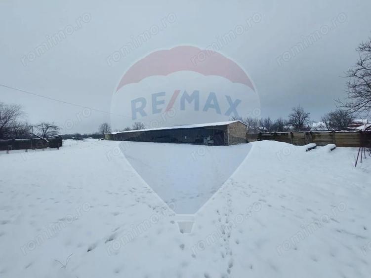 Spatii activitati logistice - 7