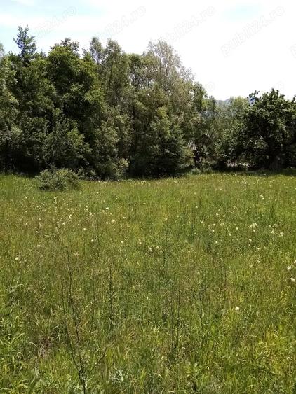 Teren de 3999 mp, în Șerbănești (Sălătrucel)