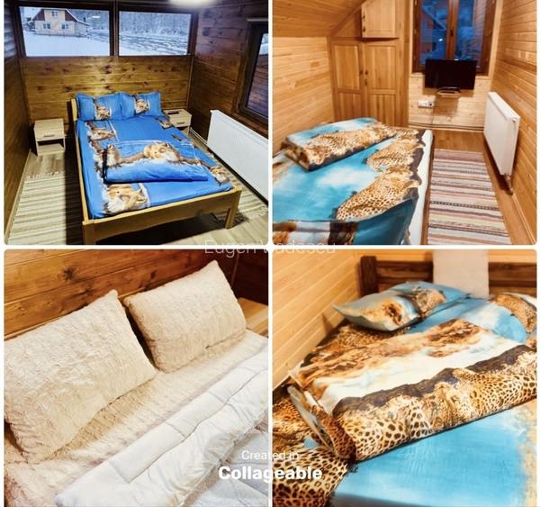 Cabana de inchiriat pentru 12 persoane Valea muresului Rastolita