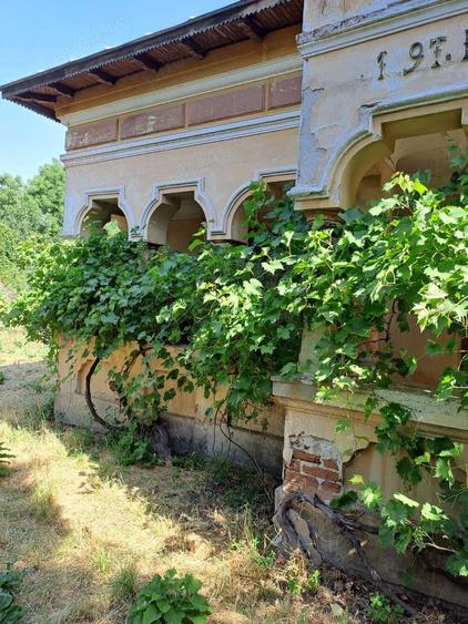 Casa tip boiereasca suprafa?a construita182 metri patra?i si teren 1800 in Arge? - 4