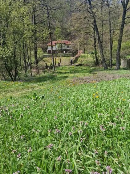 Vand casa in zona de munte, com. Podeni, jud. Mehedin?i. - 4