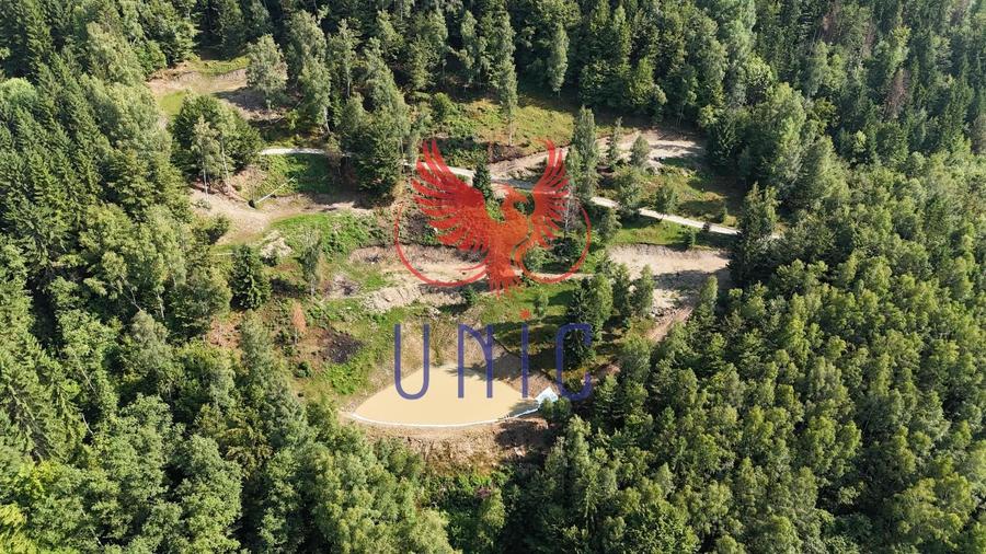 18000 mp de natura pura ,Lupeni, langa Straja - 7