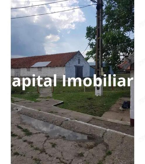 Ferma langa Oravita 5600 mp construiti si teren 24281 intravilan - 3