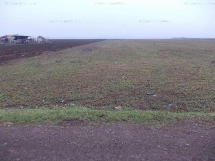 Teren 5750mp pentru constructii, zona Lacu Sarat - 4