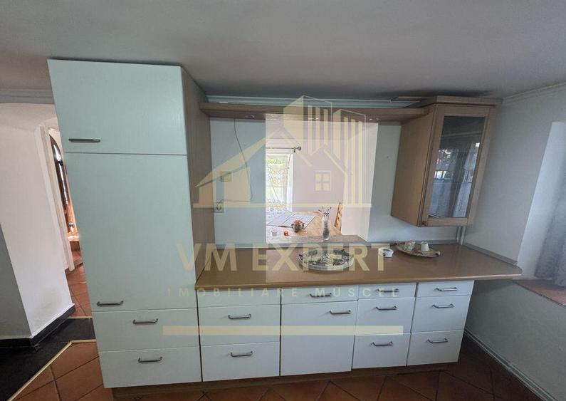 VILA 5 CAMERE, TEREN 4520 MP, LERESTI, ARGES - 16