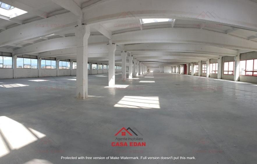 Hale noi, suprafata totala de 13.000 mp in Baicoi - 4