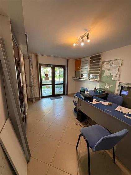 SPATIU COMERCIAL STR. BUCEGI - 1