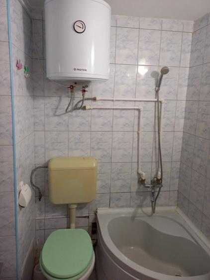 Lacul Tei,Teiul Doamnei vav Parc Tei - 11