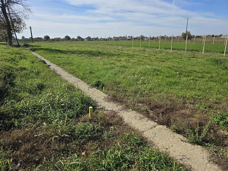 TEREN INTRAVILAN | 1400 MP | GIRISU DE CRIS - 4