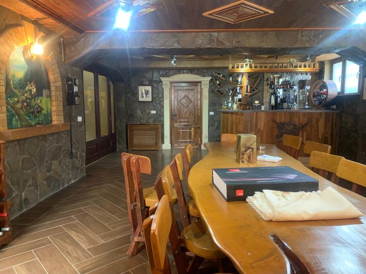 Primo -Vilă D+P+2M+Mpiscina teren 1289 mp preț.2.500.000 euro - 8