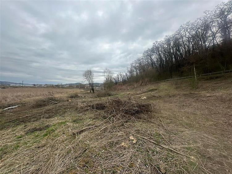 Teren intravilan si extravilan 2025 mp  Medias zona Kaufland - 1