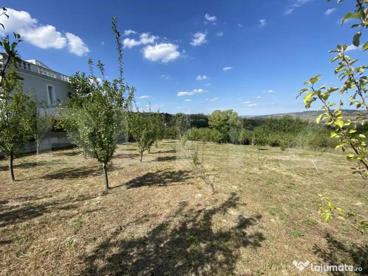 Teren intravilan in Aghires in suprafata de 1500 mp - 8