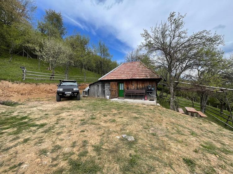 Casa, livada si padure in com Batrana judetul Hunedoara tinutul padurenilor. - 5