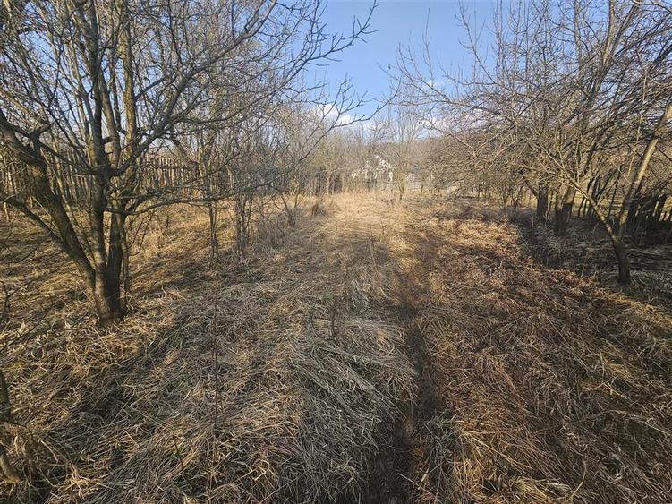 Teren 1000 mp si casa renovabila in Valcanesti . - 4