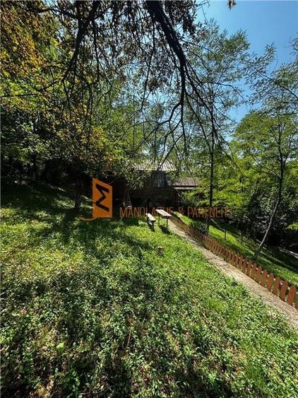 Ansamblu cabanute zona Cozieni - 32