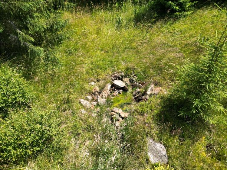 De vanzare teren Extravilan(faneata)-Belis,Cluj - 3