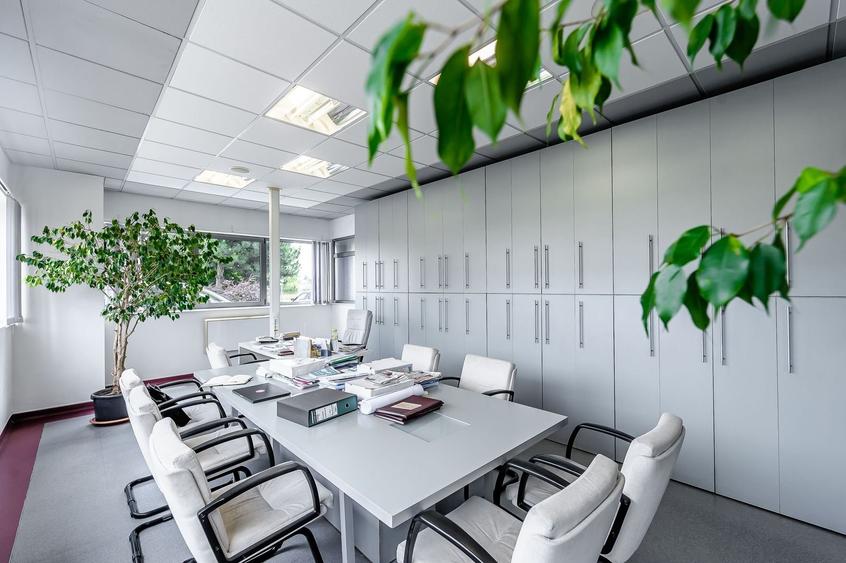 Oportunitate: Hală de producție și depozitare cu birouri în Arad - 4