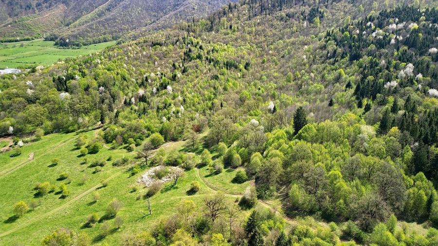 Teren Intravilan parcele 1000mp - 18