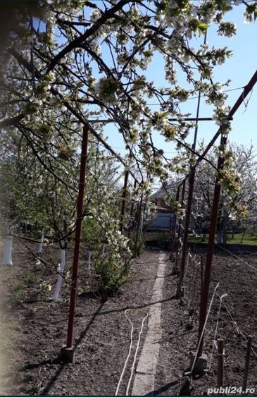 Vand casa in Chi?ineu Cri? - 9