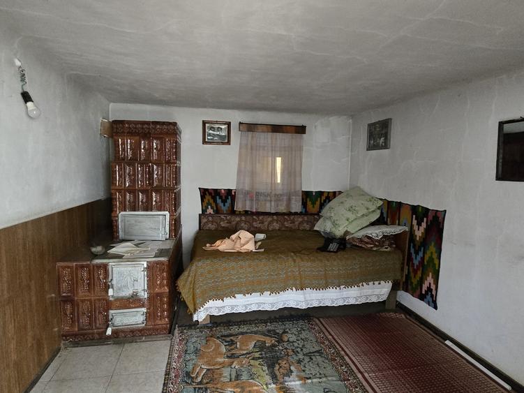 Casa + teren 4467 mp, Hotarele, Giurgiu - 10