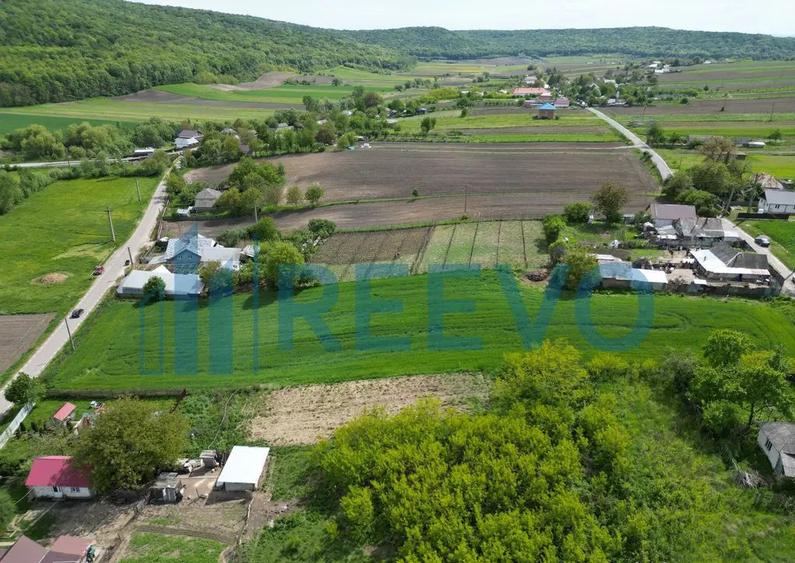 Teren de vanzare, Sat Valea Mare, Com. Ro?iori, Bacau - 6