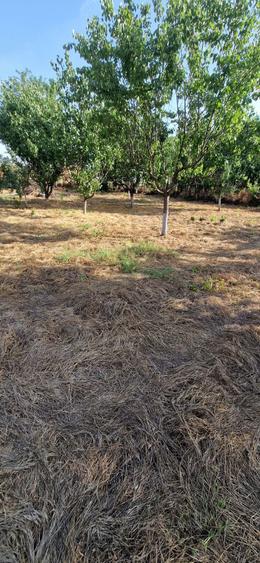 Vand/schimb teren intravilan in gradistea - 3