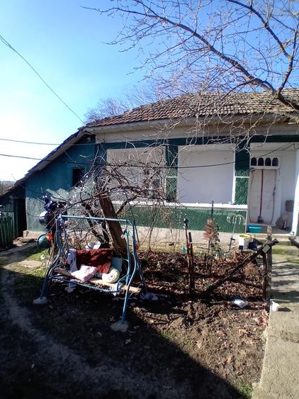 Calarasi, comuna Soldanu - 1