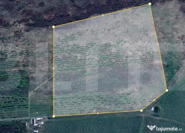 Teren extravilan 4,5ha Lipova - 1