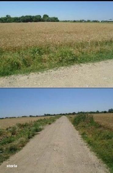 Teren extravilan cota parte 1/6 Domnesti ; ID: R2928832 - 6