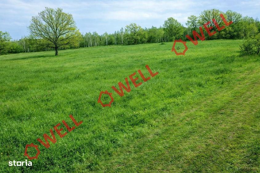 De vanzare teren intravilan in Kuvaszo - 2