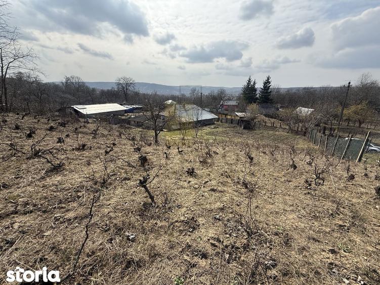 Casa batraneasca + Teren 1191 mp | Dobrovat (Iasi) | Liniste si natura - 4