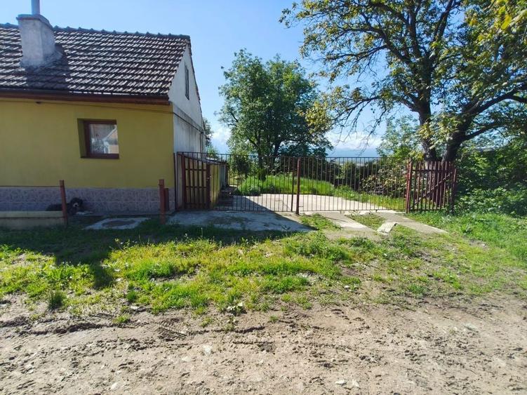 Casa cu gradina roditoare si teren 3000 m2 de vanzare Sacadate, Sibiu / House with Garden and 3000 m2 Land for Sale Sacadate, Sibiu - 7