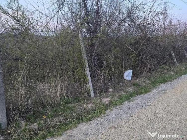 Ter Zona Coline-Raspantii, 1000 mp , utilitati, intre case, gaz - 7