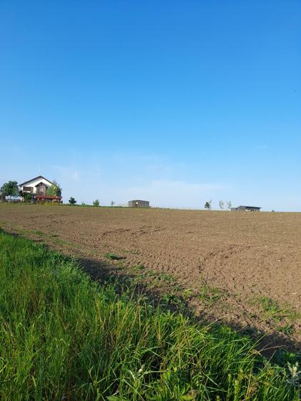 Teren intravilan Belciugatele 1250 mp - 2