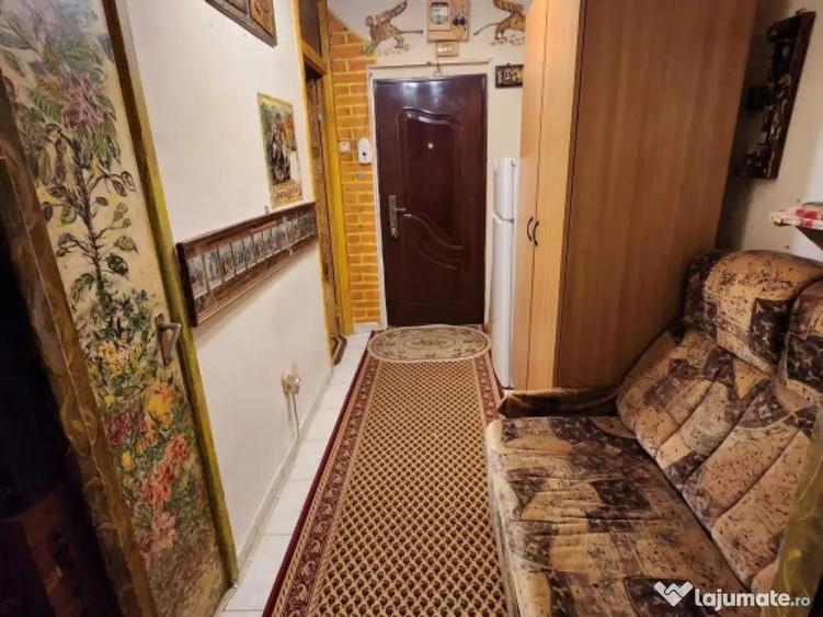 Piata sudului obregia aleea terasei - 7