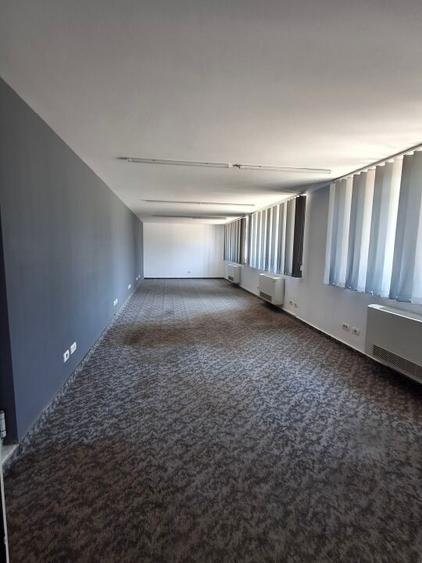 Spatiu industrial/comercial stradal pe soseaua Berceni - 21