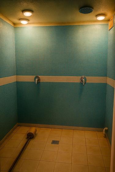 VILA CU PONTON LA LAC, PISCINA IDEALA PENTRU AFACERE sau LOCUIT - 30