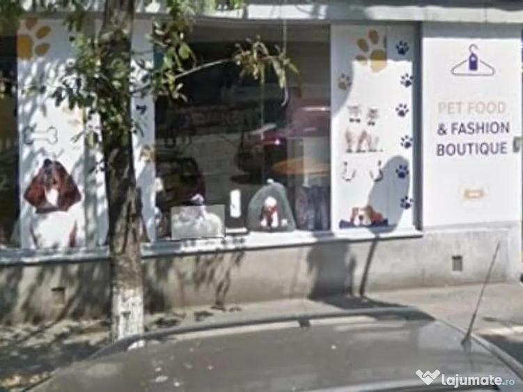 Spatiu stradal 140 mp Stefan cel Mare - 4