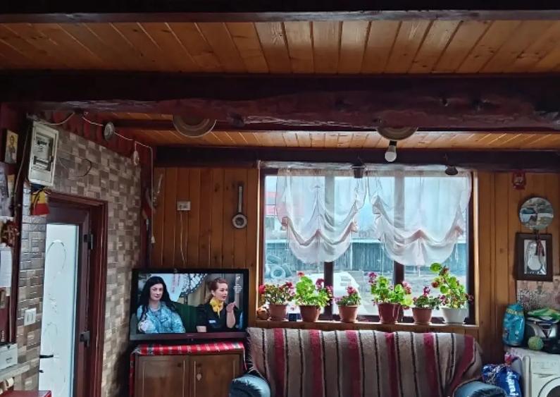 Casa moderna 215mp cu teren 2000mp si teren separat 3000mp Vaduri - 2