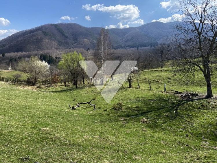Teren agricol extravilan de 6630 mp, în Cisnădioara Teren agricol extravilan de 6630 mp, în Cisnădioara