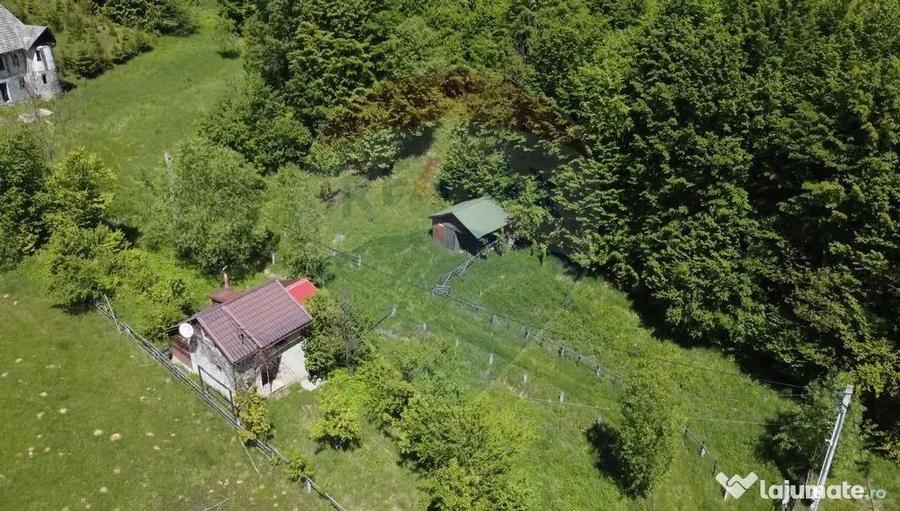 Comision 0%! Proprietate in natura, priveliste superba, S... - 4