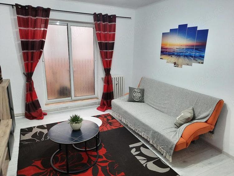 Ap 2 camere SD Mircea, parter inalt cu gradina - 10