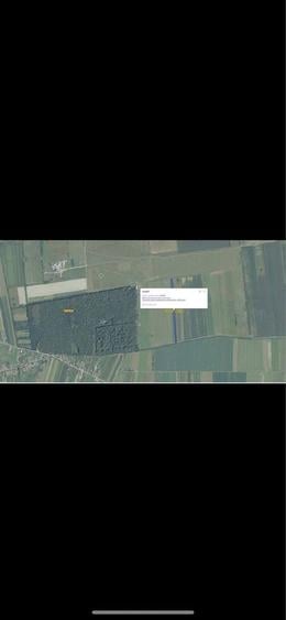 Teren Osorhei in spate la Parcul Industrial, langa Centura Osorhei - 7