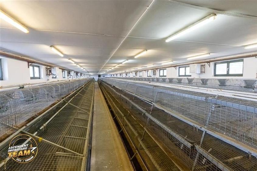 FILM! Ferma de iepuri,Malnas,Covasna: domeniu:comercial/industrial,asset UE - 2