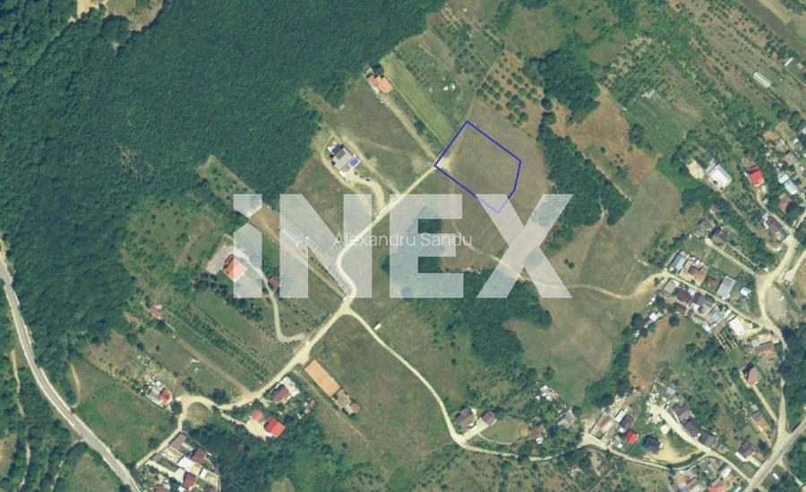 Teren intravilan de vanzare in Ștefanesti - Valea Mare Podgoria Teren intravilan de vanzare in Ștefanesti - Valea Mare Podgoria