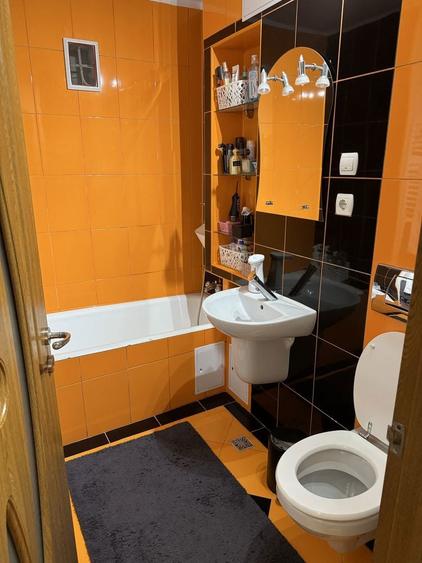 Proprietar vand ap cu 2 camere, calea aradului - 6