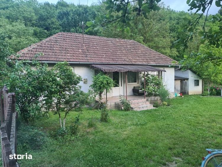 Vand casa cu gradina - 4