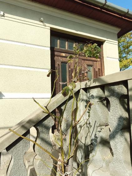 casa de vanzare, Luna, Campia Turzii - 5