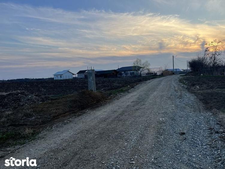 Teren de vanzare Peris intravilan - 6